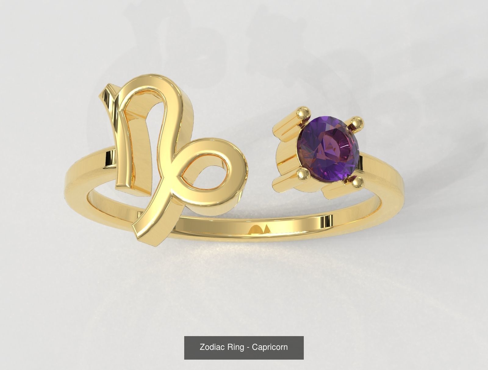 12 Zodiac Rings 3D Model Collection_12