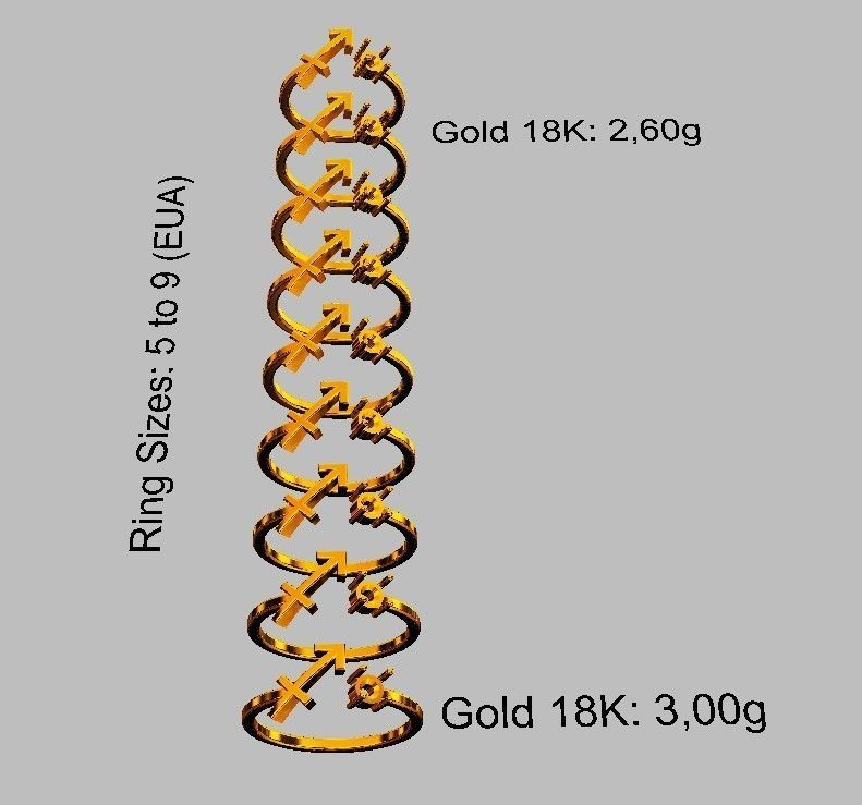 12 Zodiac Rings 3D Model Collection_33