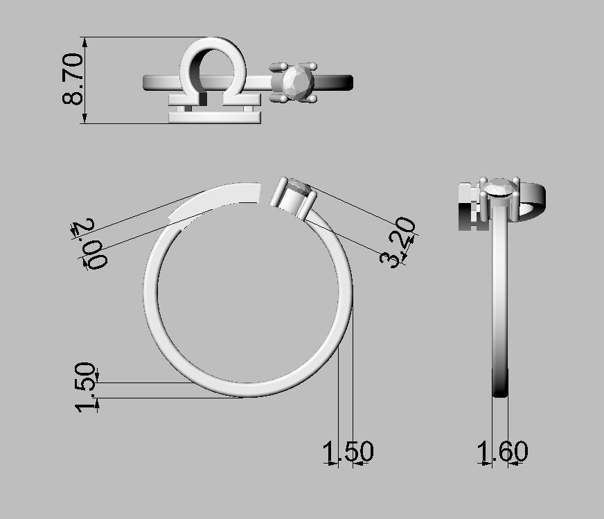 12 Zodiac Rings 3D Model Collection_29