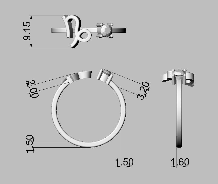 12 Zodiac Rings 3D Model Collection_36