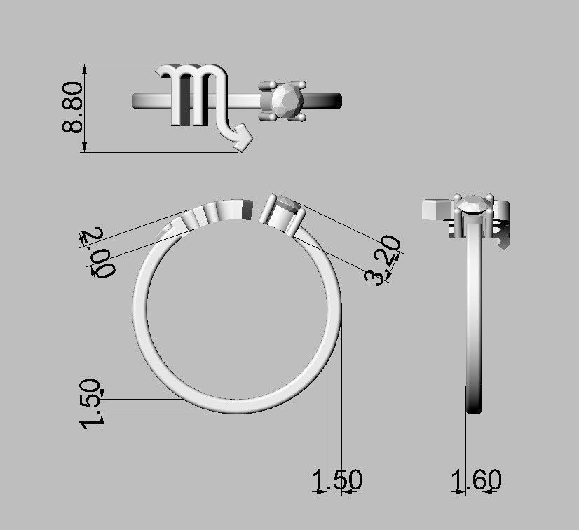 12 Zodiac Rings 3D Model Collection_31