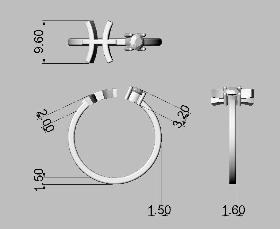 12 Zodiac Rings 3D Model Collection_39