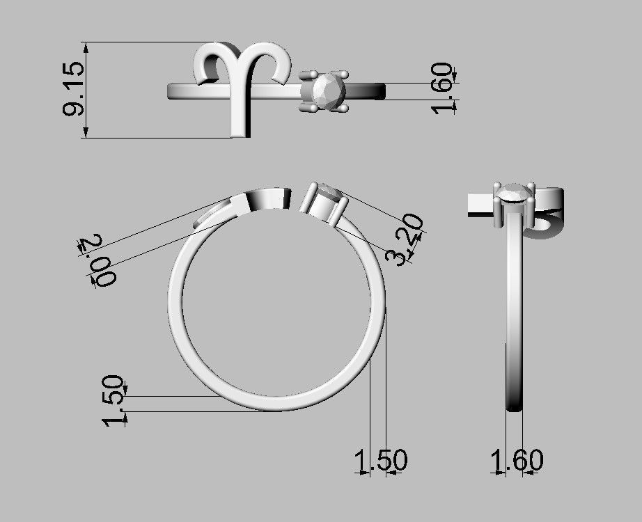 12 Zodiac Rings 3D Model Collection_17