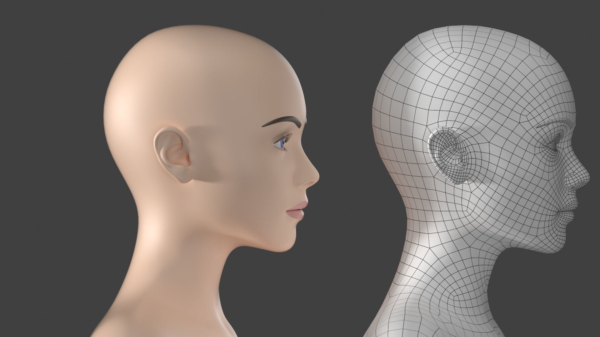 Stylized Female 01 A-Pose Base Mesh 3D model_13