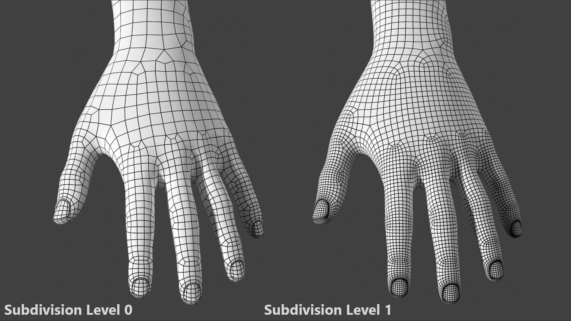 Stylized Female 01 A-Pose Base Mesh 3D model_22