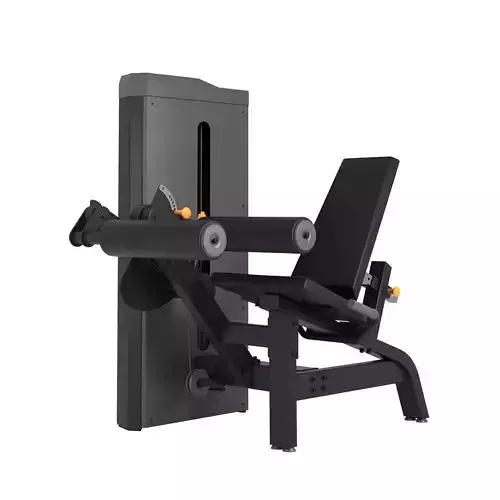 Leg Extension