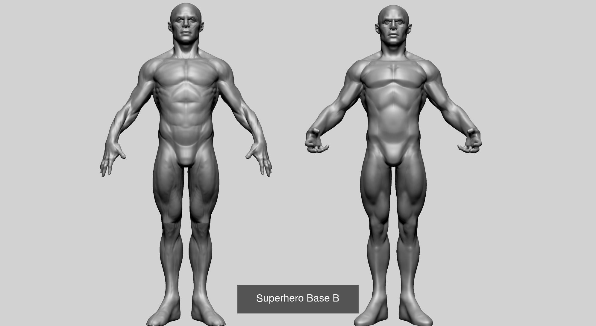 Male Anatomy Collection D _15