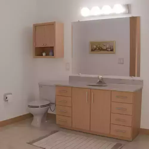 Bathroom Sink Cabinet