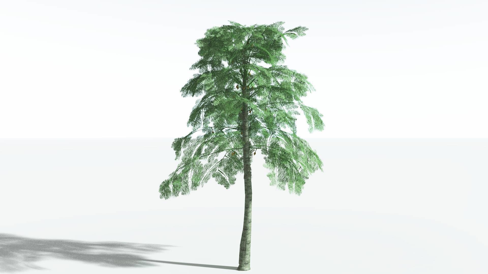 EVERYPlant Alethopteris Seed Fern LowPoly 3 --12 Models-- Low-poly 3D model_4