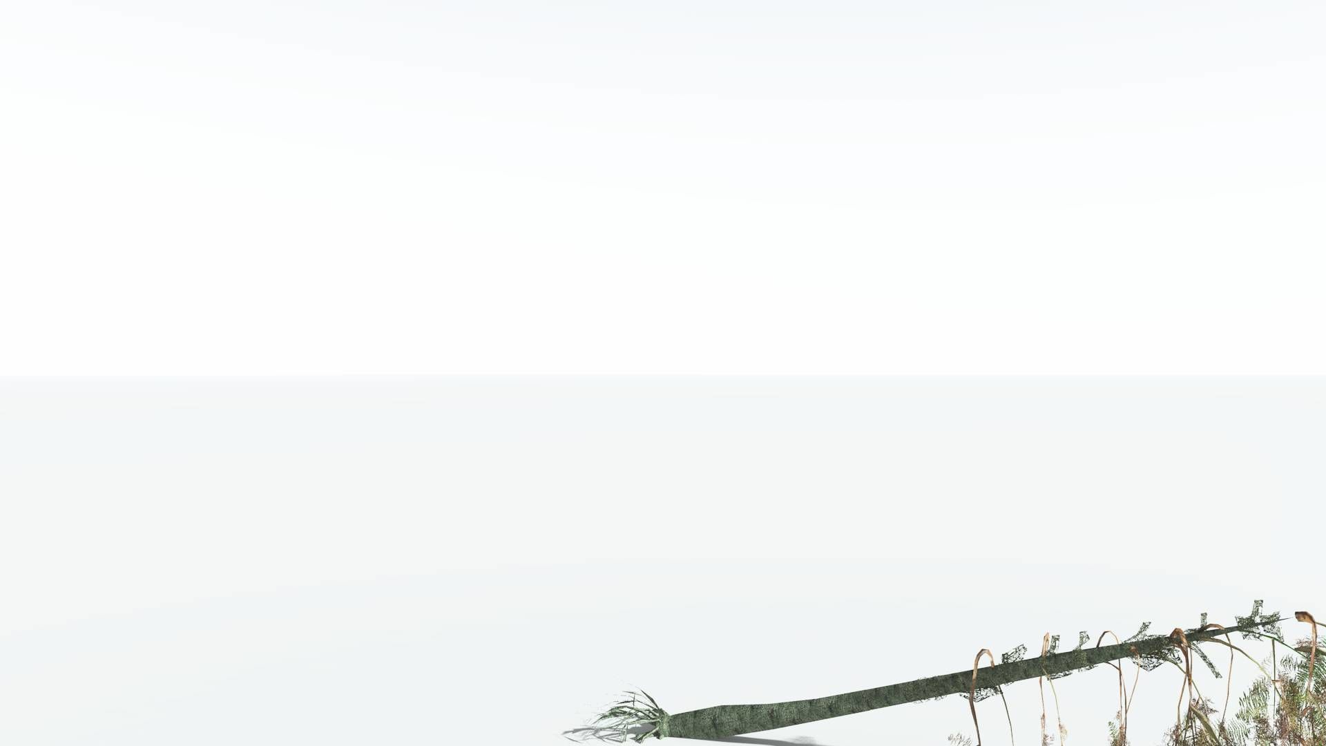 EVERYPlant Alethopteris Seed Fern LowPoly 3 --12 Models-- Low-poly 3D model_12