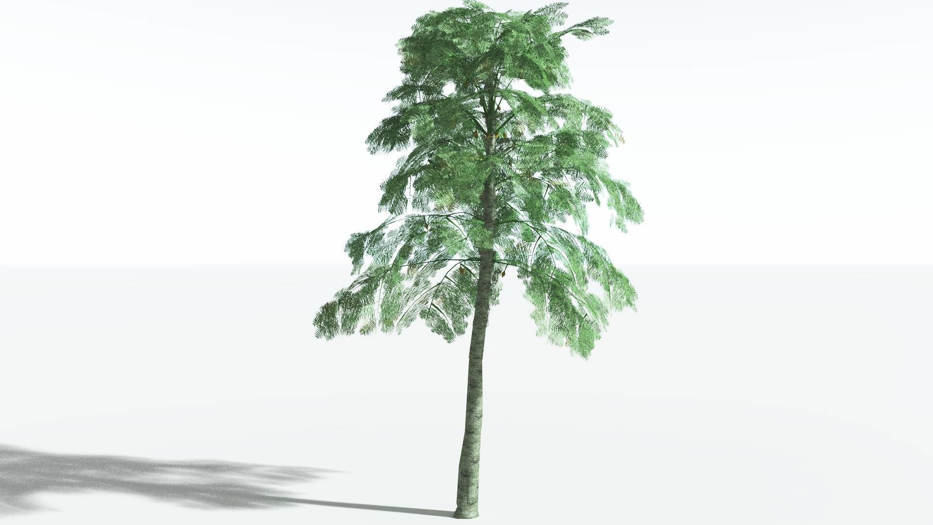 EVERYPlant Alethopteris Seed Fern LowPoly 3 --12 Models-- Low-poly 3D model_14