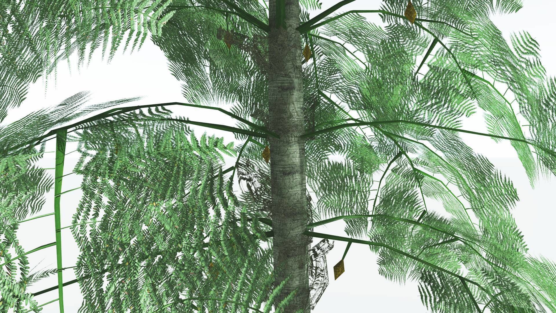 EVERYPlant Alethopteris Seed Fern LowPoly 3 --12 Models-- Low-poly 3D model_5