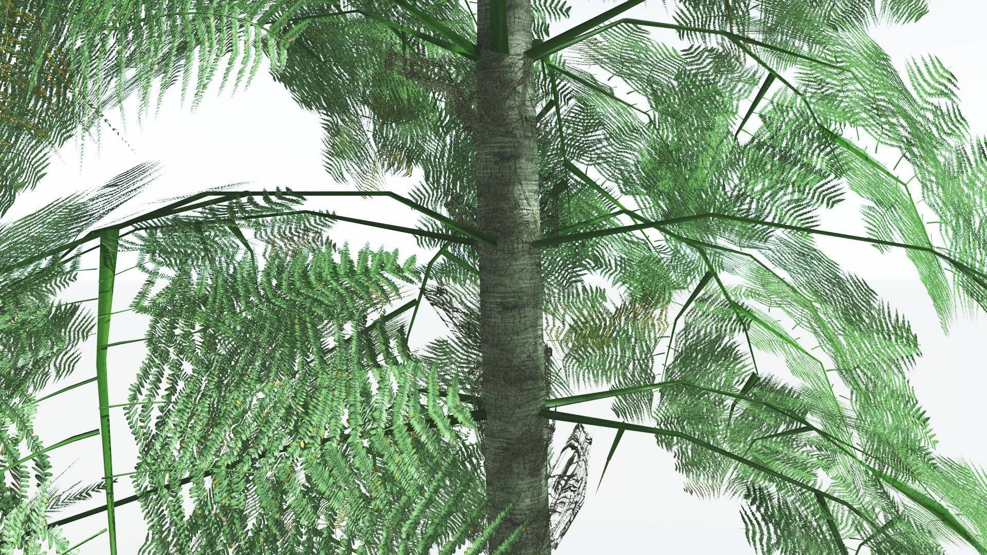 EVERYPlant Alethopteris Seed Fern LowPoly 3 --12 Models-- Low-poly 3D model_23