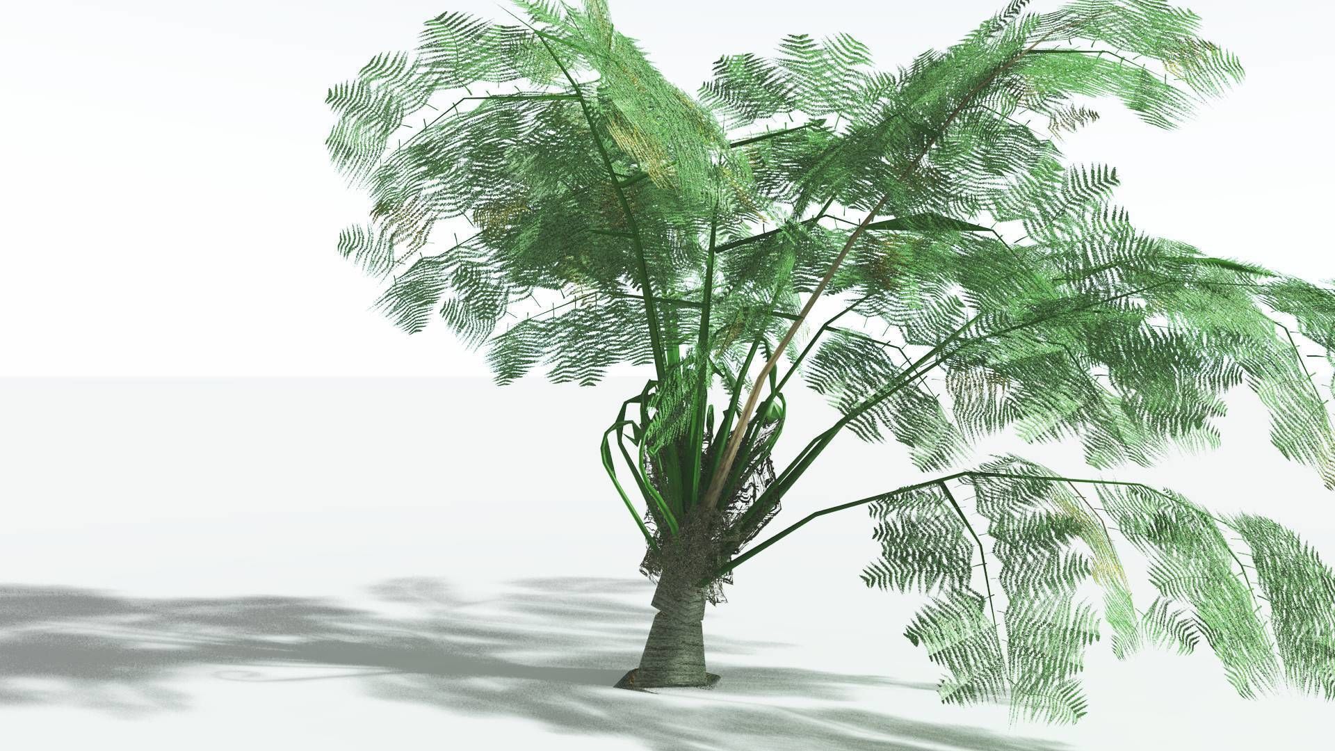 EVERYPlant Alethopteris Seed Fern LowPoly 3 --12 Models-- Low-poly 3D model_19