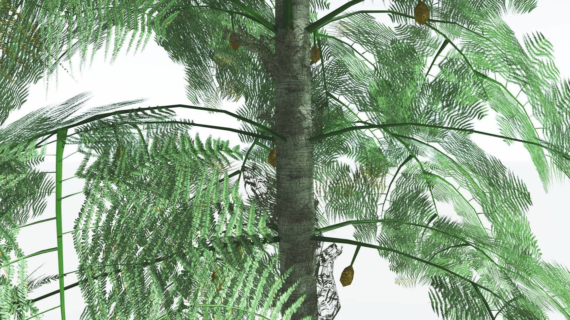 EVERYPlant Alethopteris Seed Fern LowPoly 3 --12 Models-- Low-poly 3D model_25