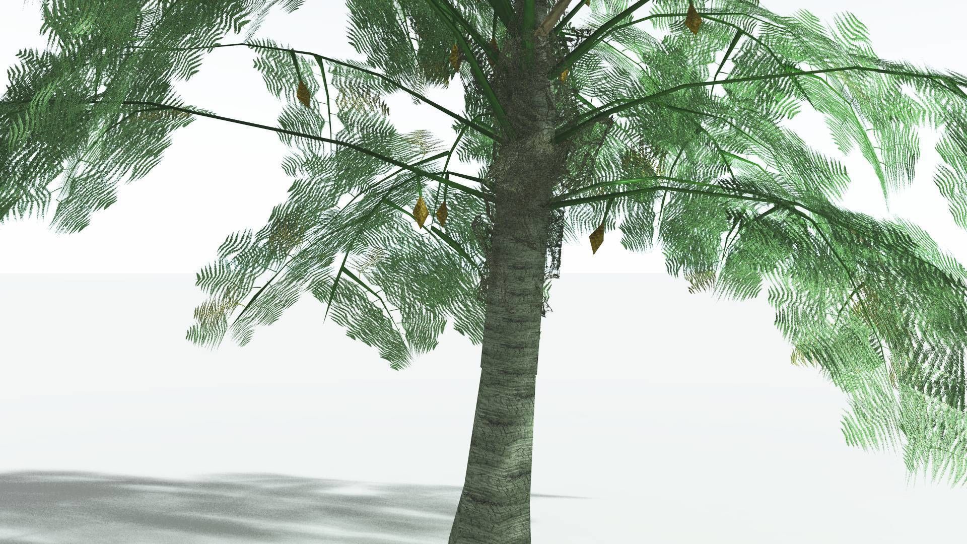 EVERYPlant Alethopteris Seed Fern LowPoly 3 --12 Models-- Low-poly 3D model_17