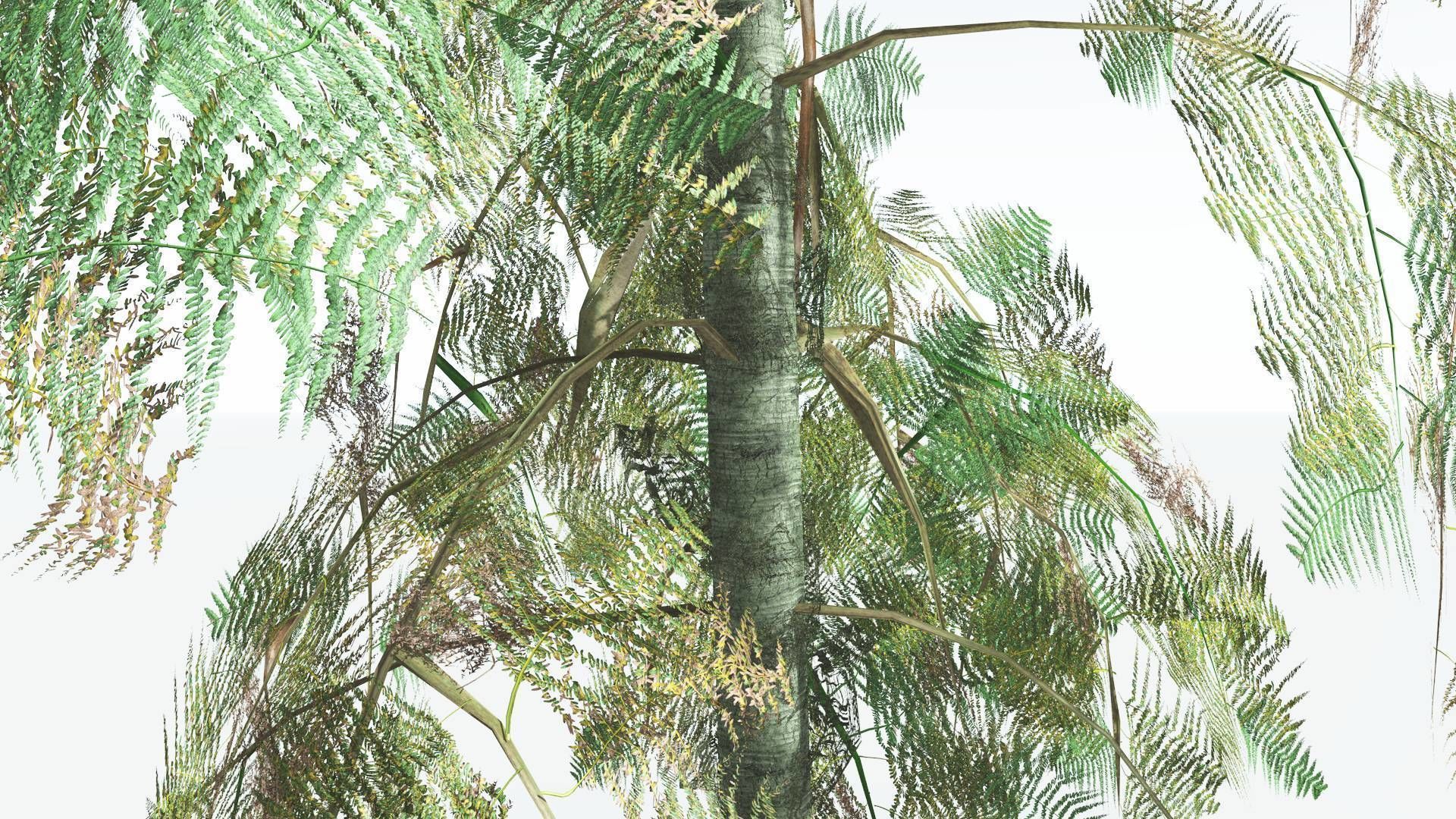 EVERYPlant Alethopteris Seed Fern LowPoly 3 --12 Models-- Low-poly 3D model_9