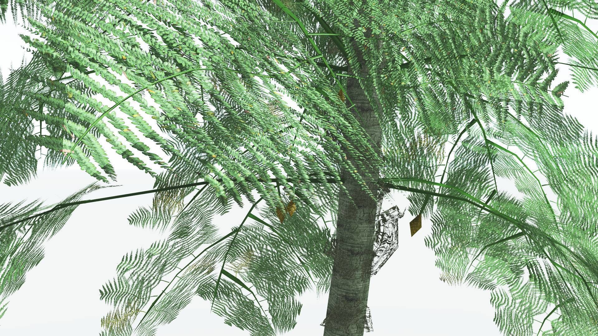 EVERYPlant Alethopteris Seed Fern LowPoly 3 --12 Models-- Low-poly 3D model_15