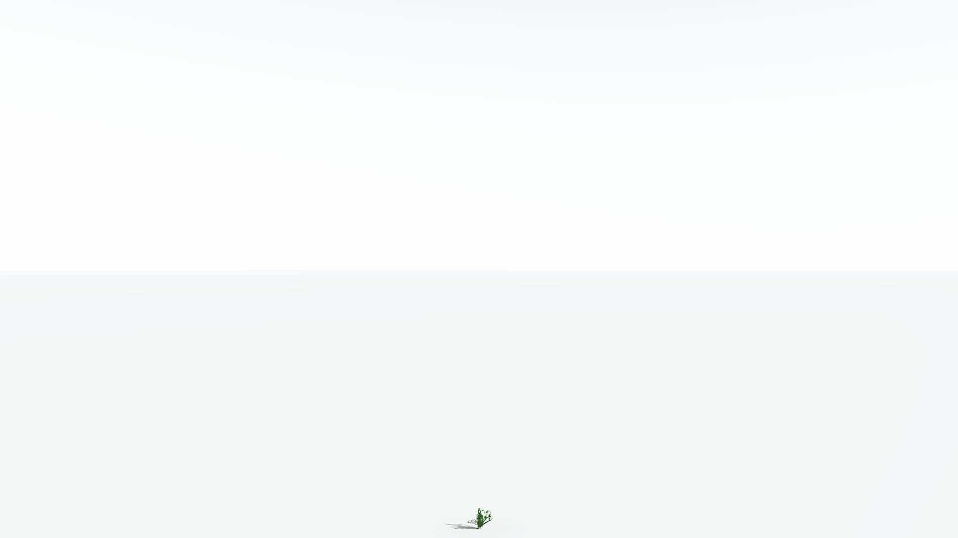 EVERYPlant Alethopteris Seed Fern LowPoly 3 --12 Models-- Low-poly 3D model_20