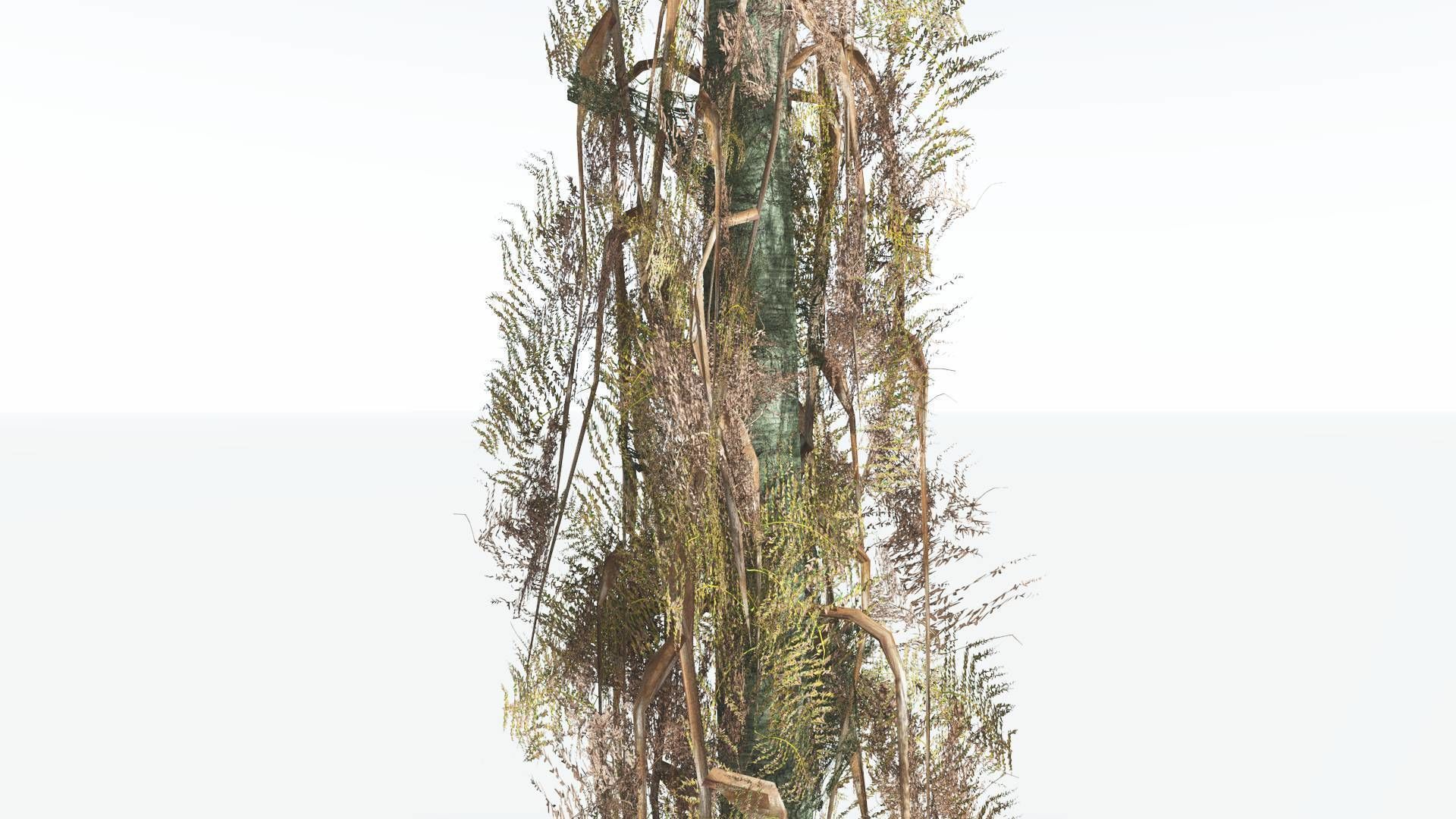 EVERYPlant Alethopteris Seed Fern LowPoly 3 --12 Models-- Low-poly 3D model_11