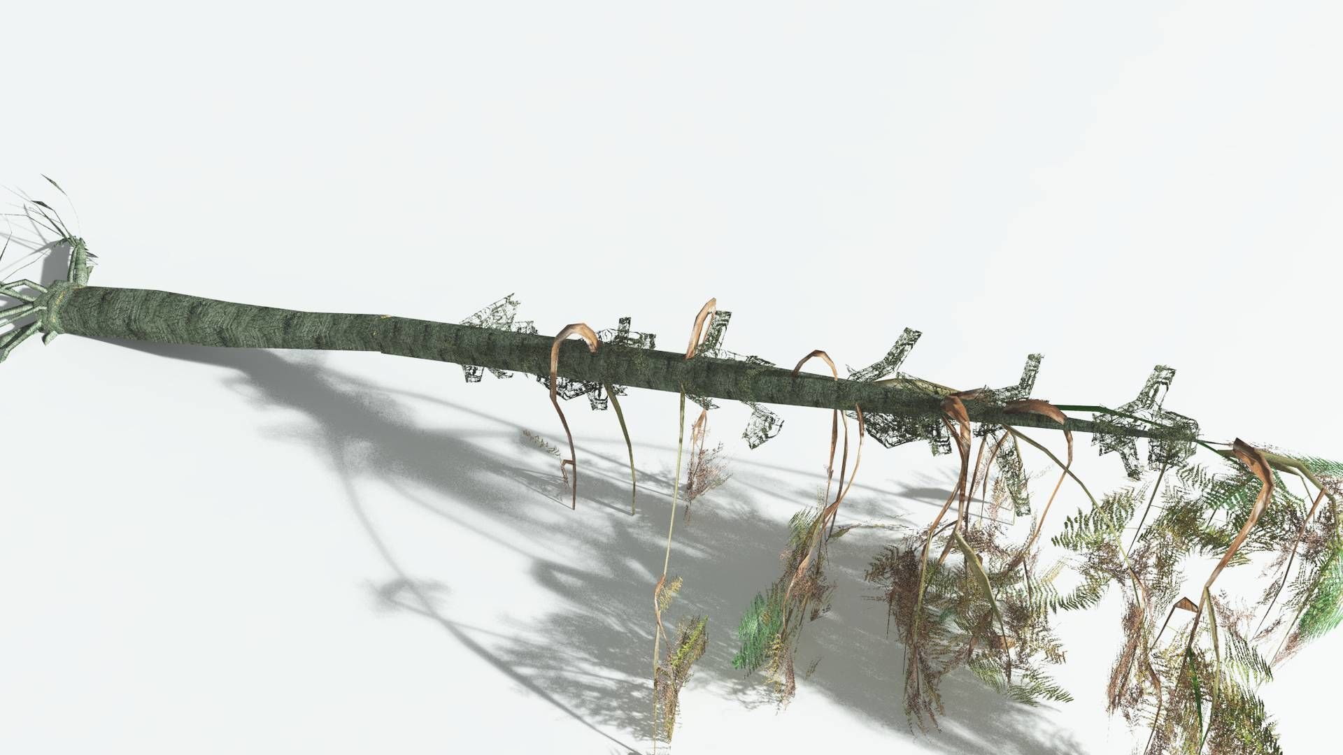 EVERYPlant Alethopteris Seed Fern LowPoly 3 --12 Models-- Low-poly 3D model_13