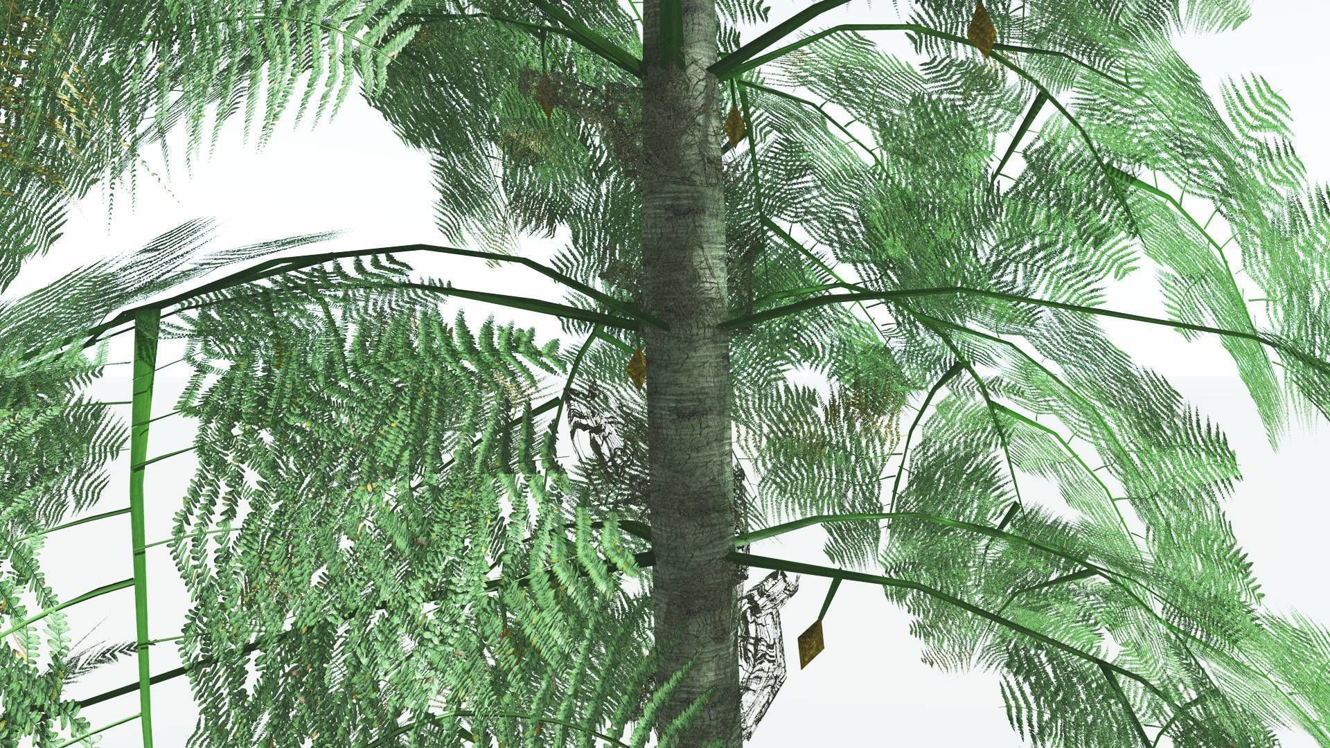 EVERYPlant Alethopteris Seed Fern LowPoly 3 --12 Models-- Low-poly 3D model_3