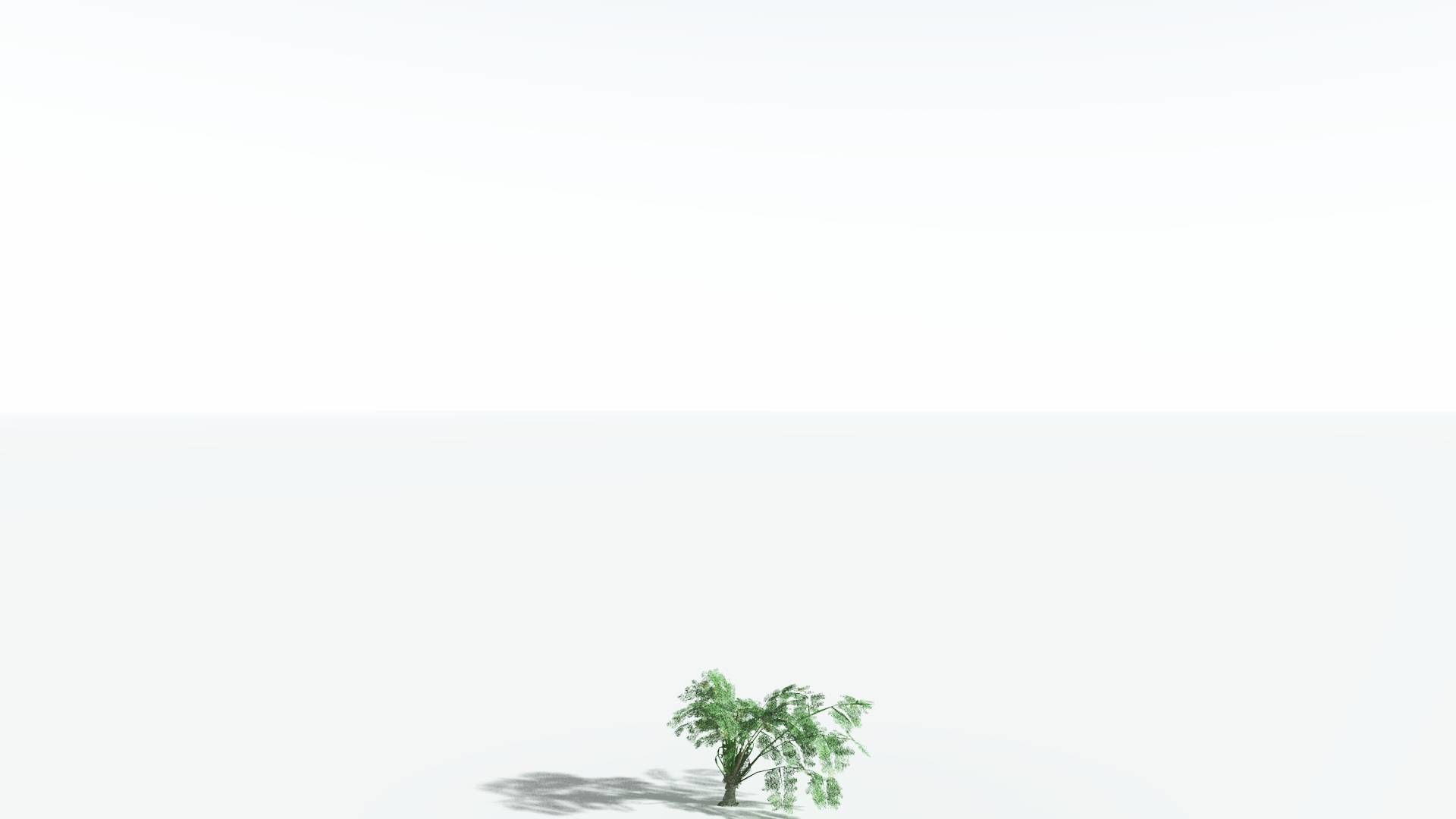 EVERYPlant Alethopteris Seed Fern LowPoly 3 --12 Models-- Low-poly 3D model_18