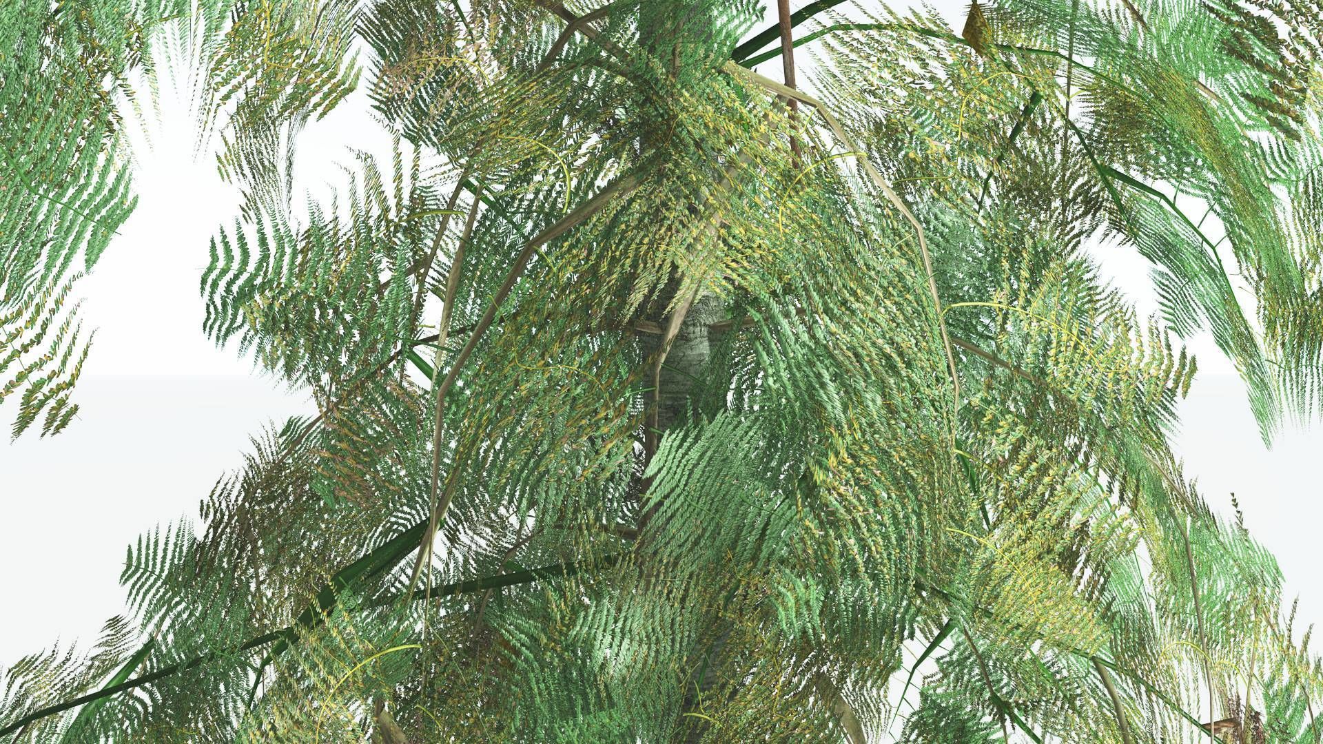 EVERYPlant Alethopteris Seed Fern LowPoly 3 --12 Models-- Low-poly 3D model_7