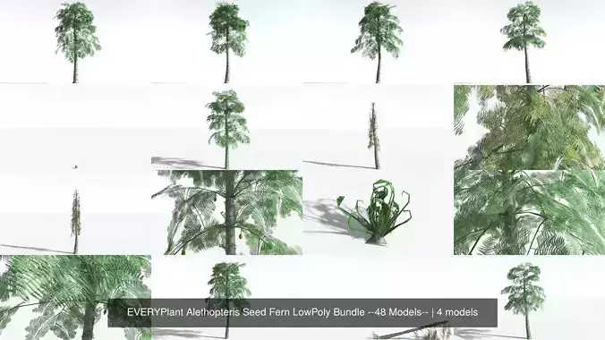 EVERYPlant Alethopteris Seed Fern LowPoly Bundle --48 Models-- 3D Model Collection