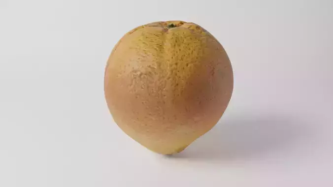 Orange Realistic  3D model