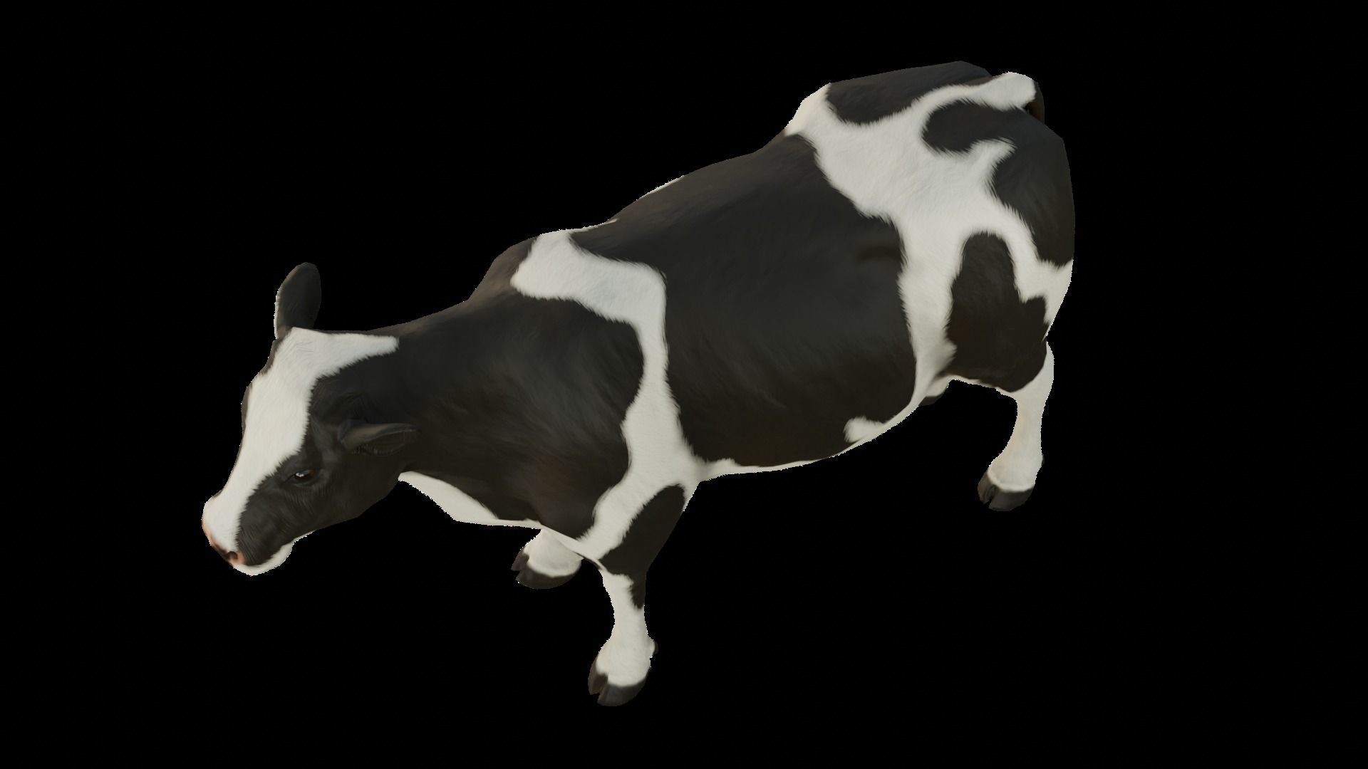 Animal Cow  Low-poly 3D model_9