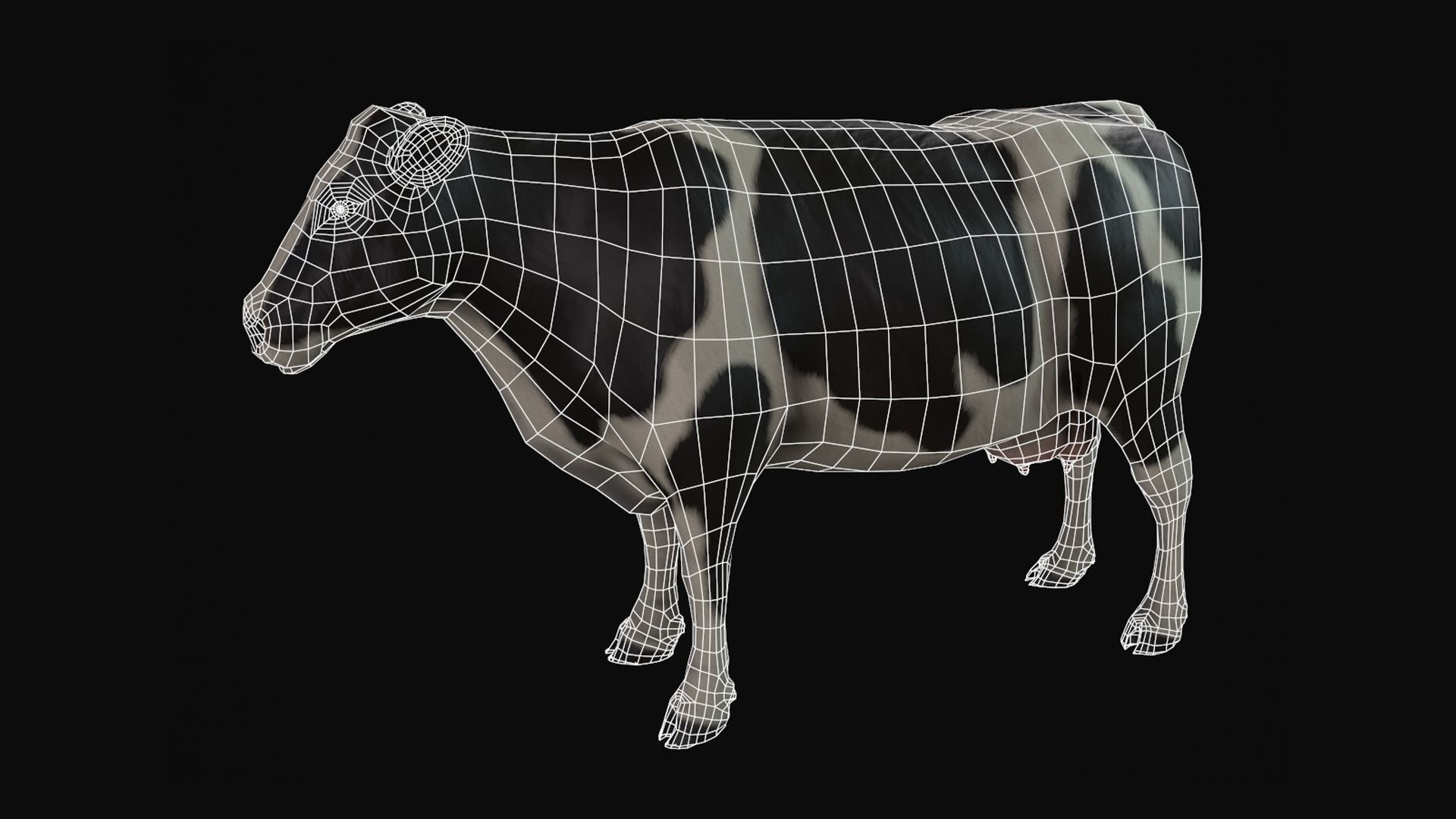 Animal Cow  Low-poly 3D model_10