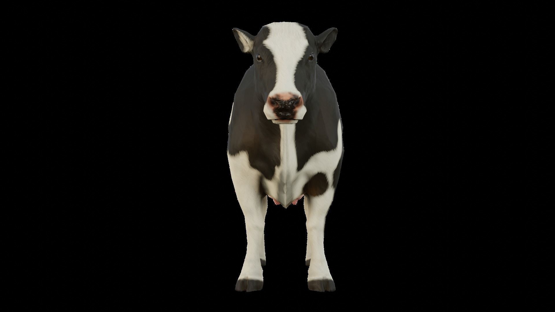 Animal Cow  Low-poly 3D model_7