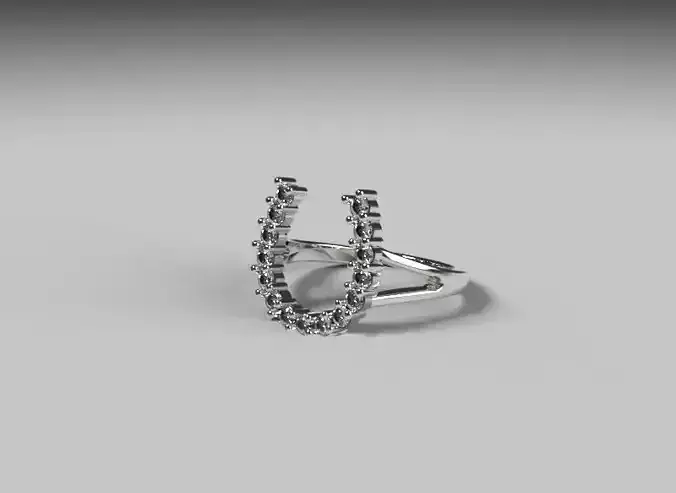 Horseshoe Ring