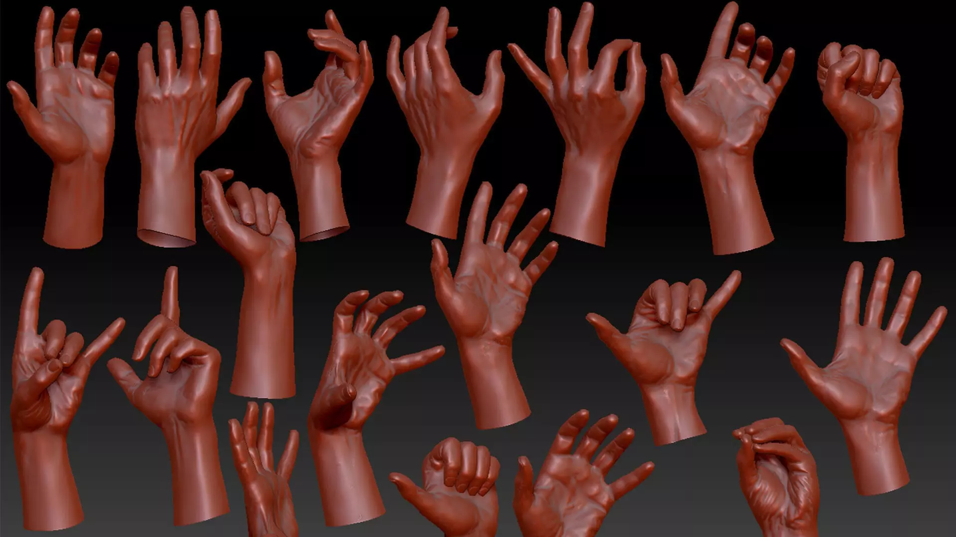 16 Posed Male Hand Scans 3D model_0