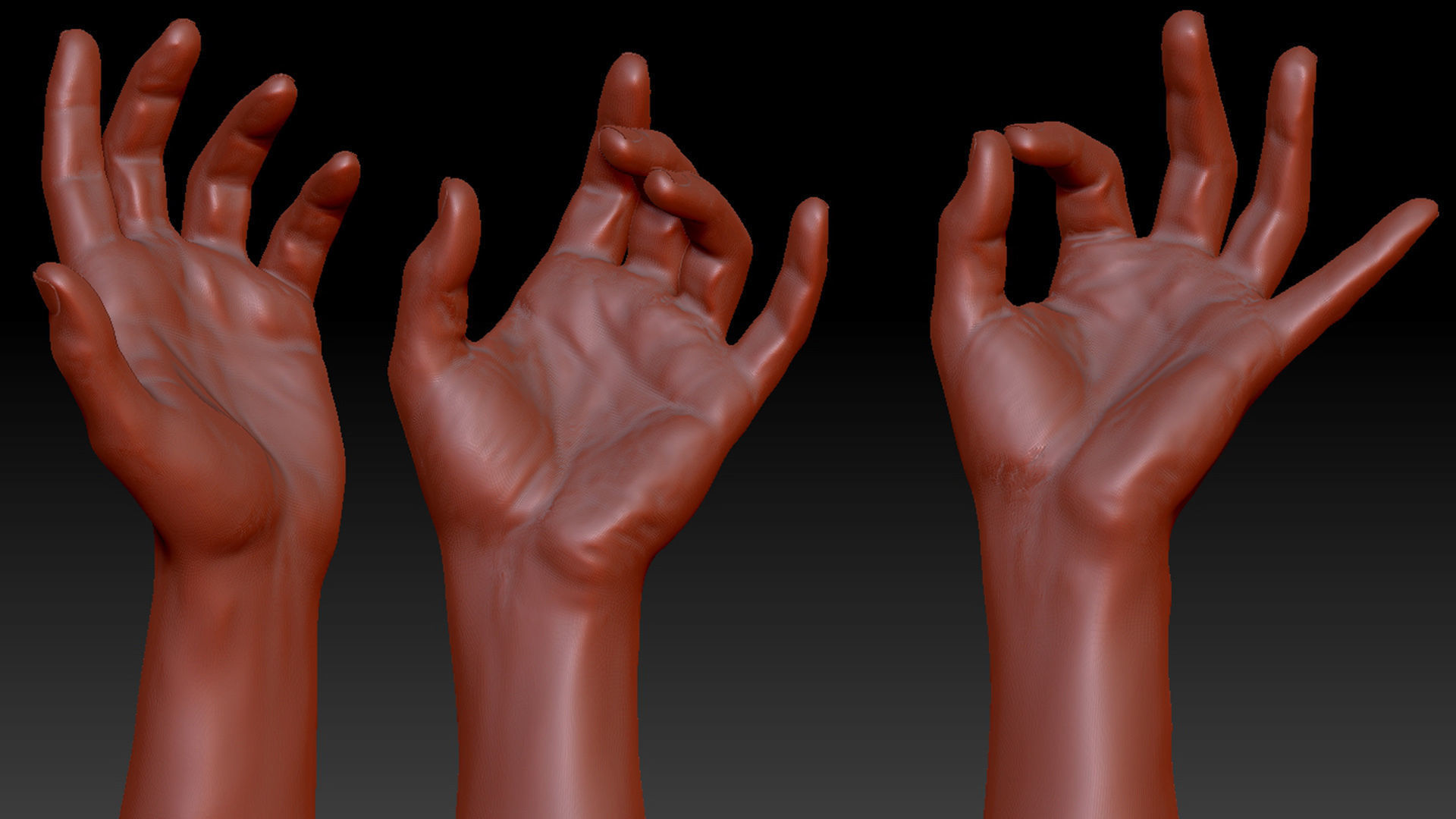 16 Posed Male Hand Scans 3D model_5