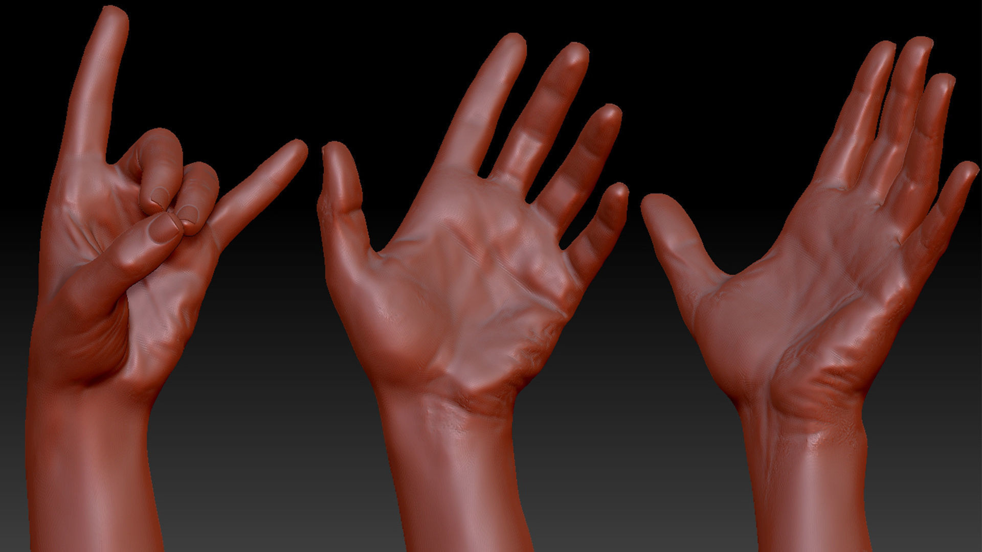 16 Posed Male Hand Scans 3D model_3