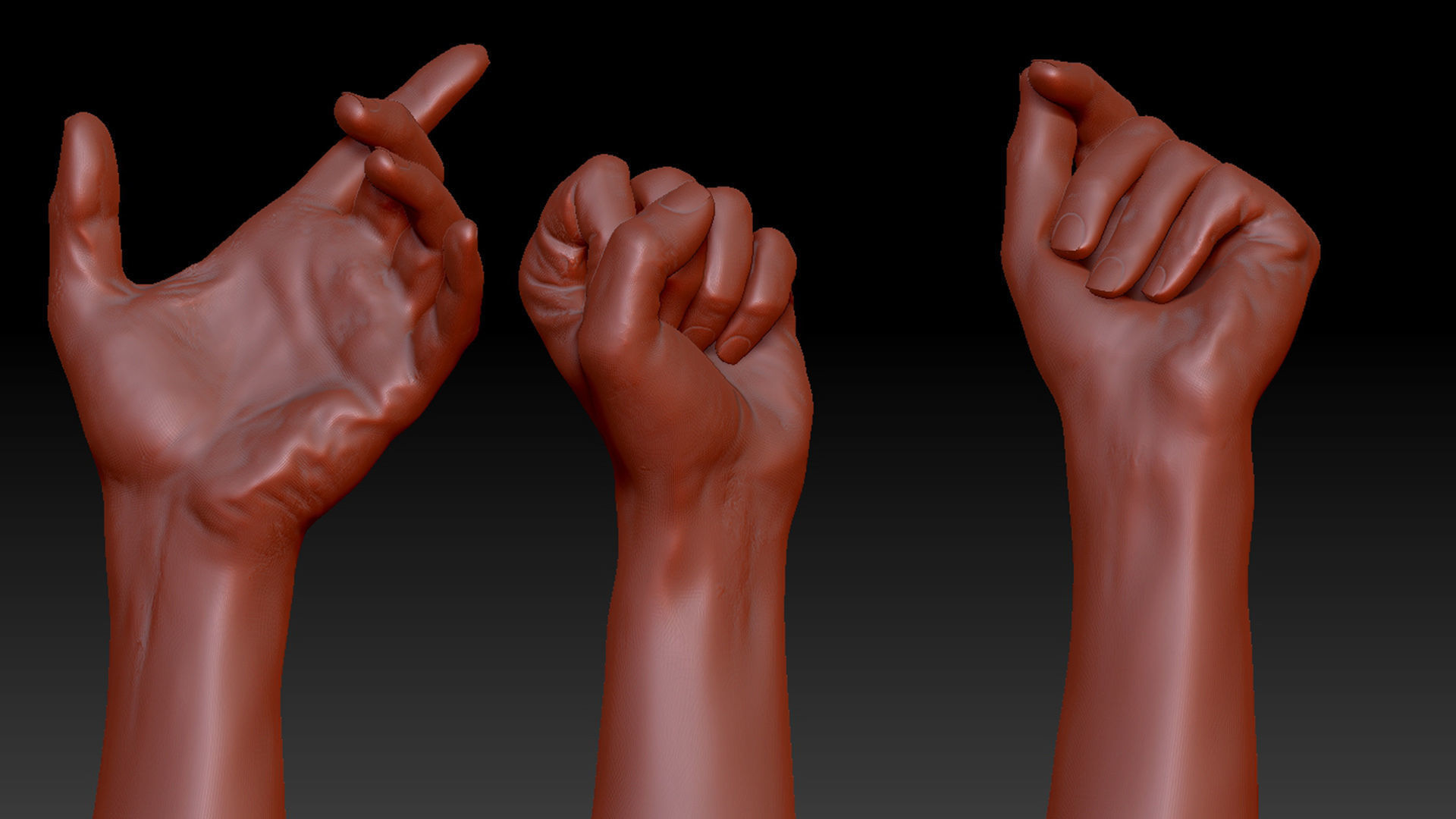 16 Posed Male Hand Scans 3D model_4