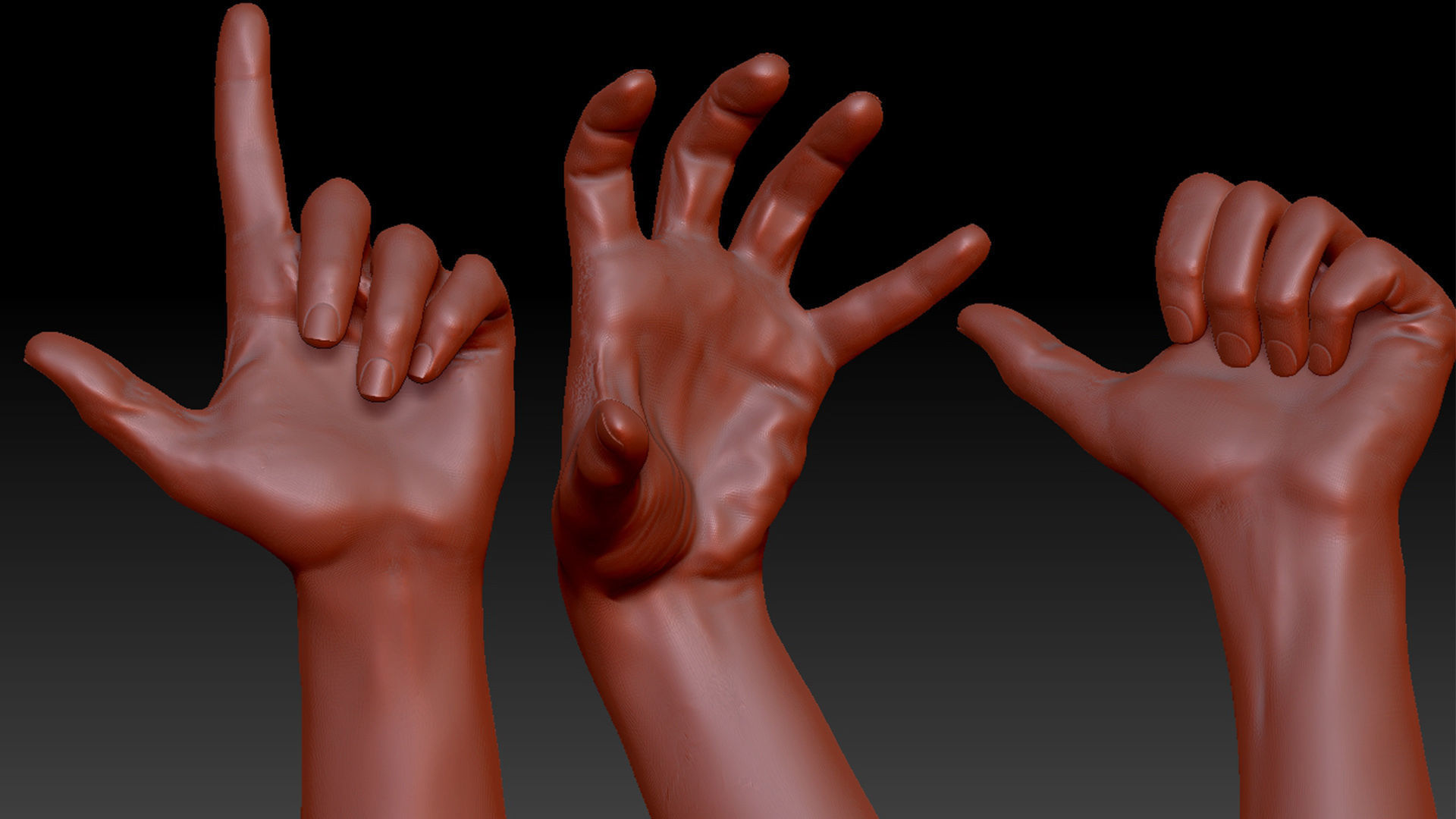 16 Posed Male Hand Scans 3D model_2