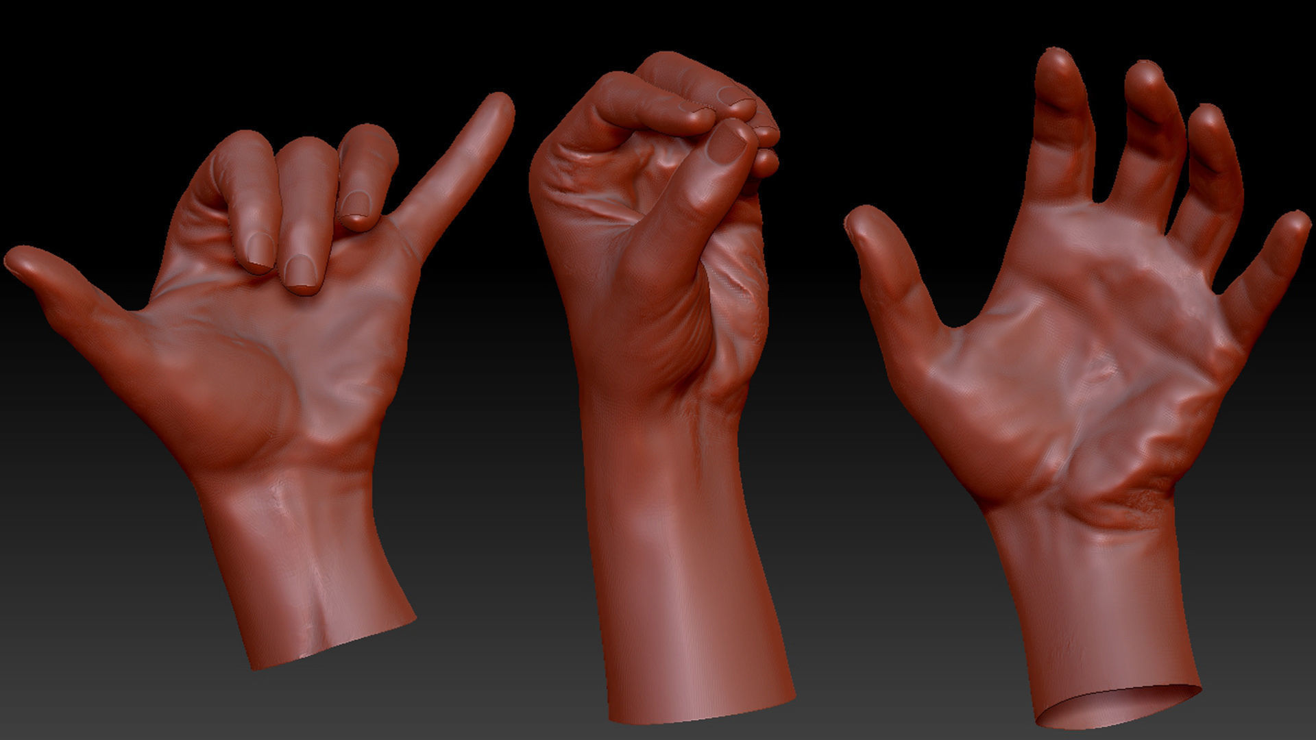 16 Posed Male Hand Scans 3D model_1
