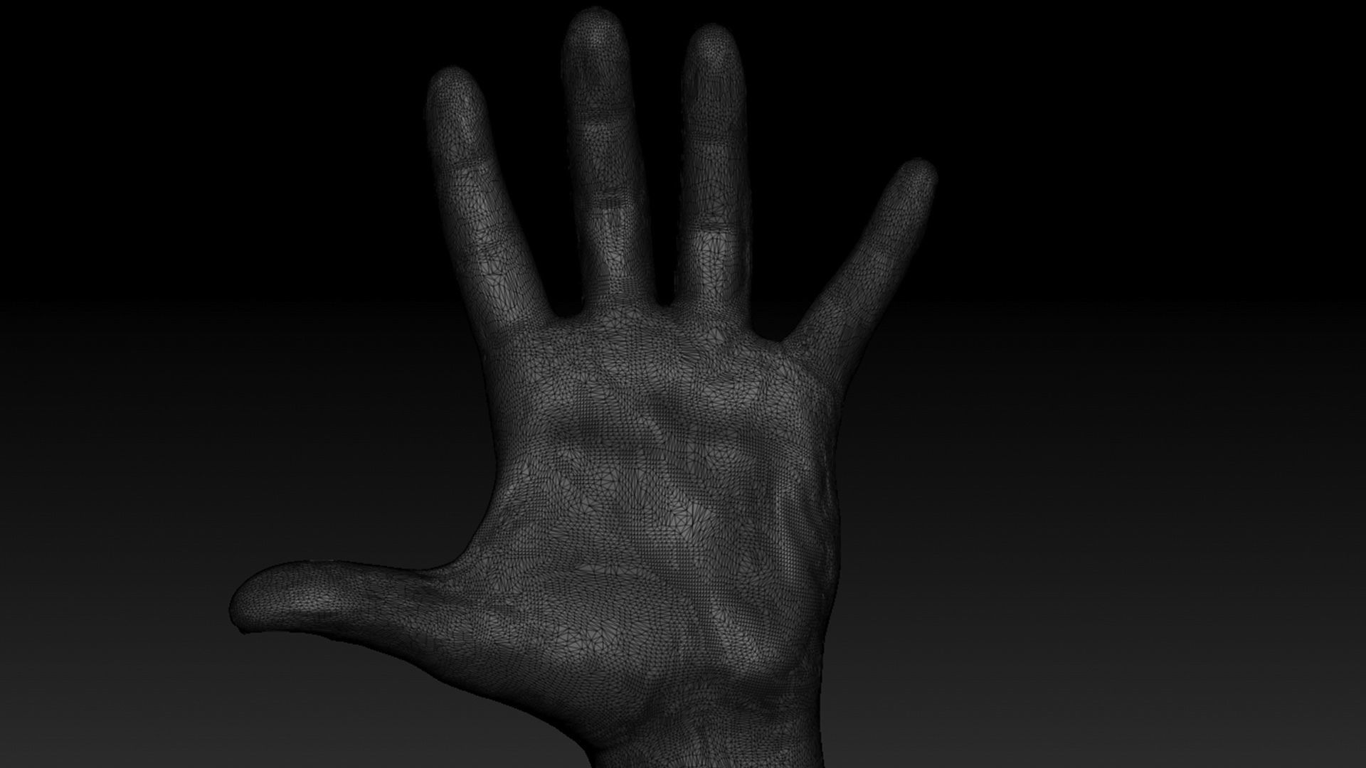 16 Posed Male Hand Scans 3D model_6