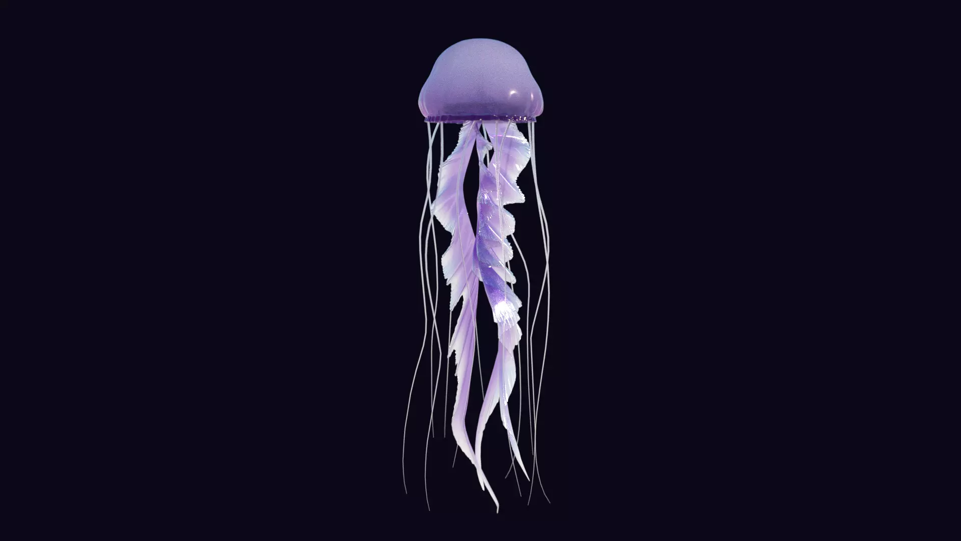 JELLYFISH 3D model