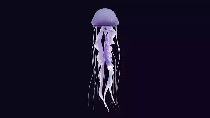 JELLYFISH