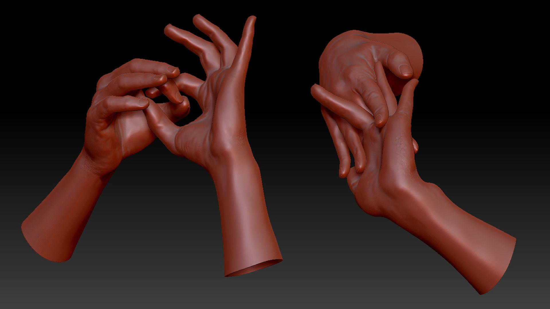 16 Posed Male Duo Hand Scans 3D model_2