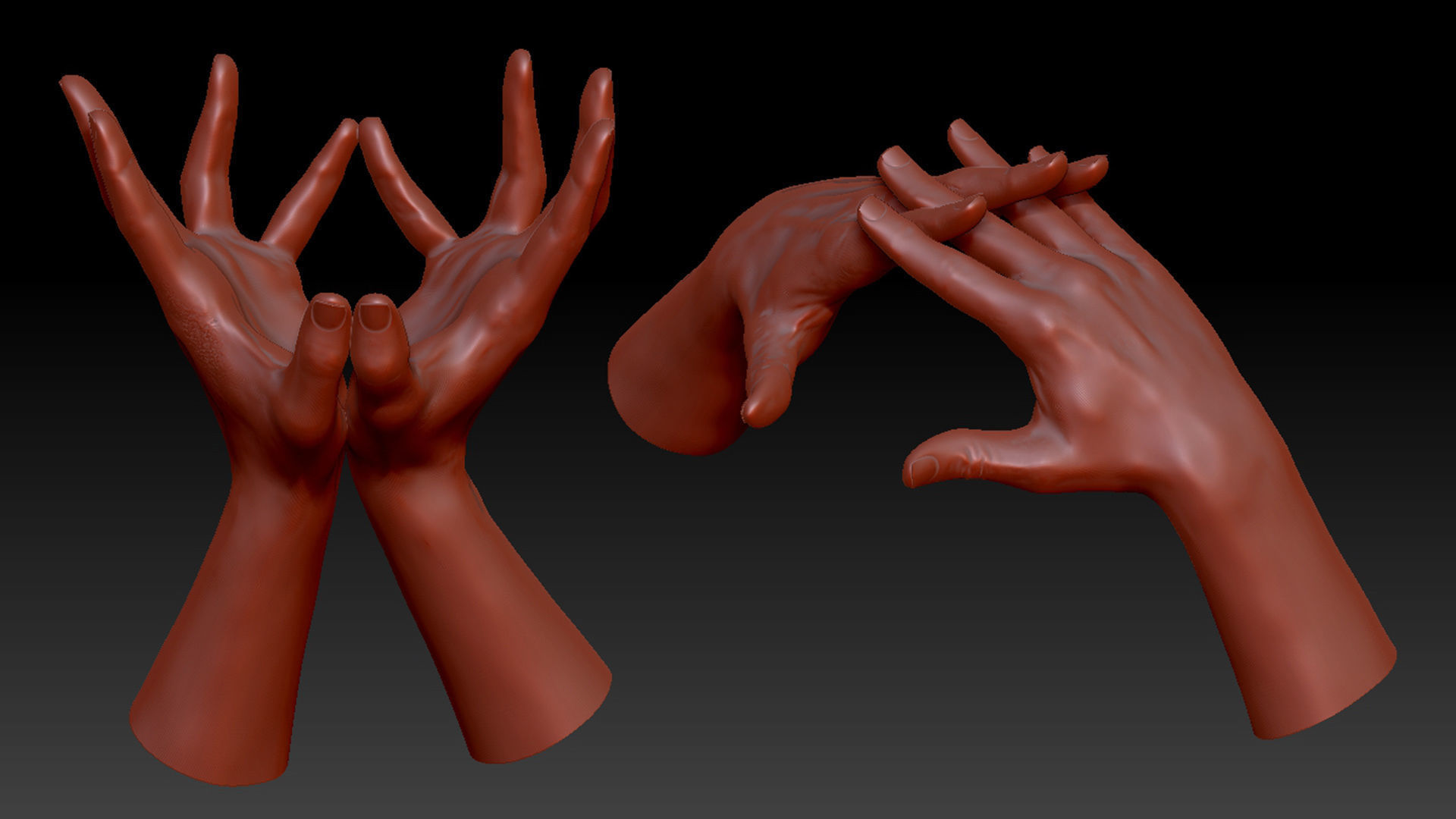 16 Posed Male Duo Hand Scans 3D model_7