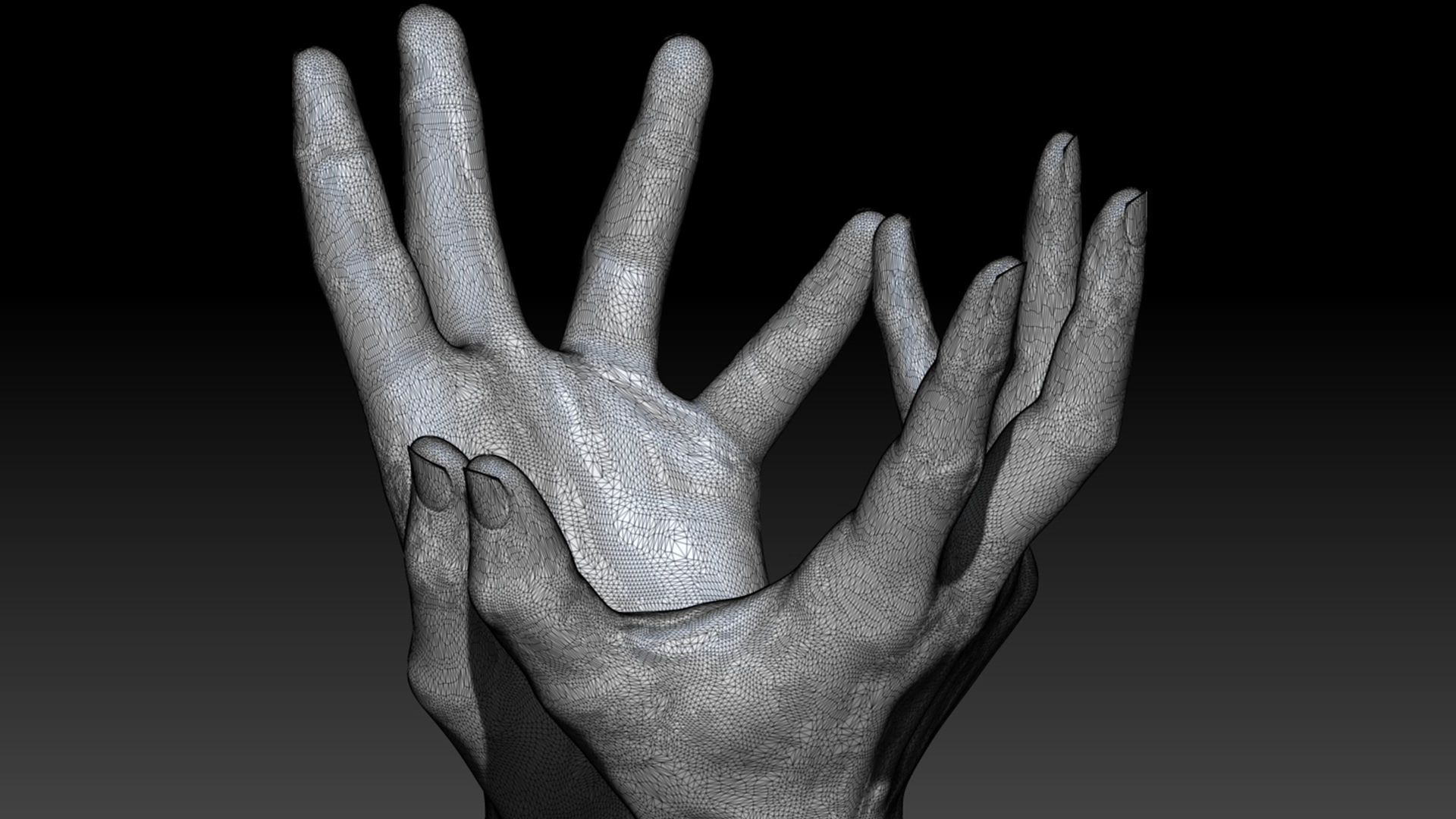 16 Posed Male Duo Hand Scans 3D model_8