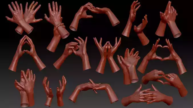 16 Posed Male Duo Hand Scans