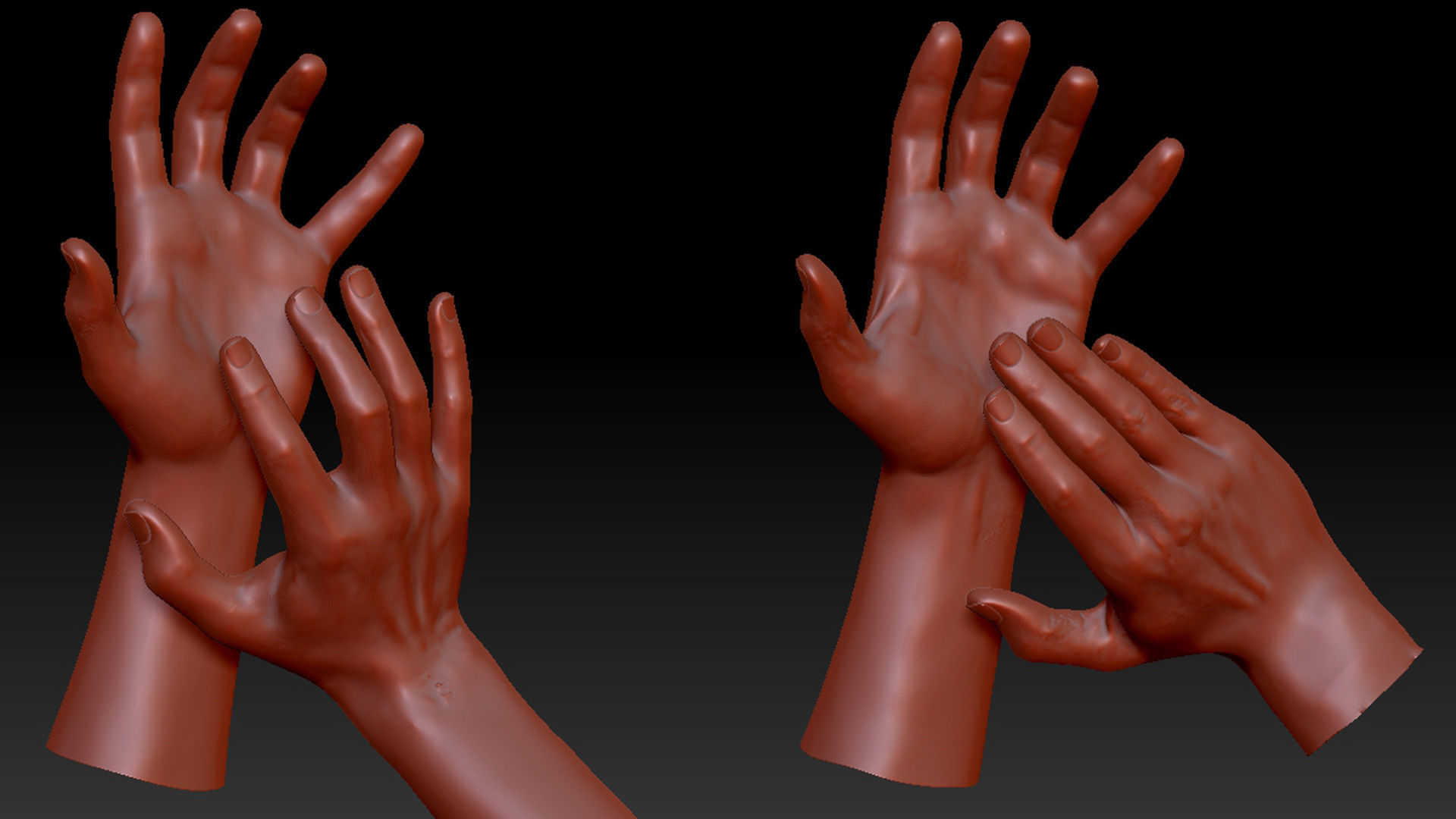 16 Posed Male Duo Hand Scans 3D model_5