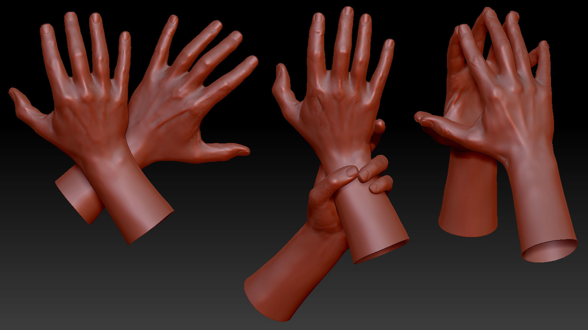 16 Posed Male Duo Hand Scans 3D model_3