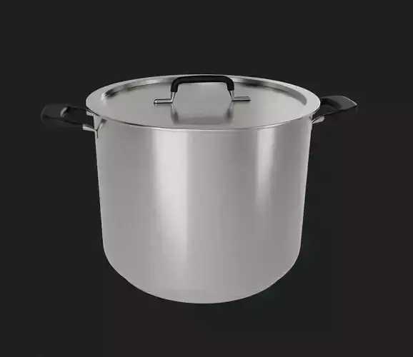 Stainless Steel Stockpot